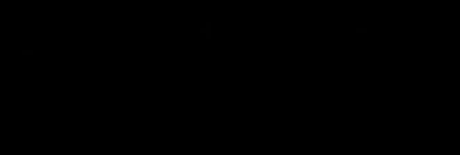RapidLEI