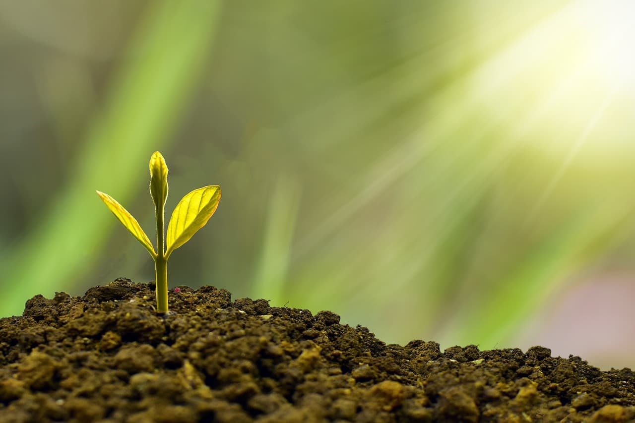 Sustainability Indicators Under MiCAR: A Comprehensive Overview